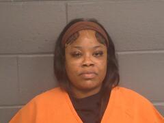 Booking photo for NIKITA FRANSETTA WEBB