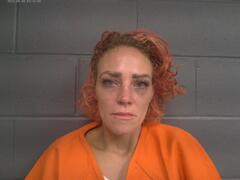 Booking photo for ALESHIA MESHELL PRICE
