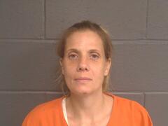 Booking photo for SUSAN REENE CARTER