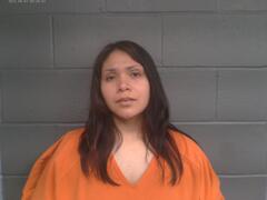 Booking photo for DENISSA BROOKELLE HANSON