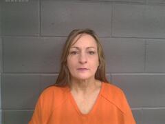 Booking photo for TERRI MAE GRIGGS