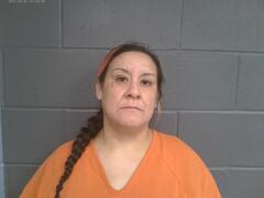 Booking photo for DEBRA JEAN LITTLEDAVE