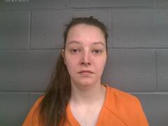 Booking photo for JESSICA LEIGH ANN HARVEY