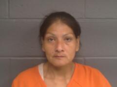 Booking photo for APRIL DAWN GRASS