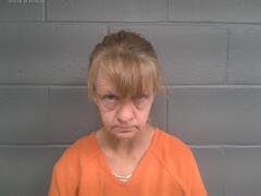 Booking photo for DONNA   HERRON